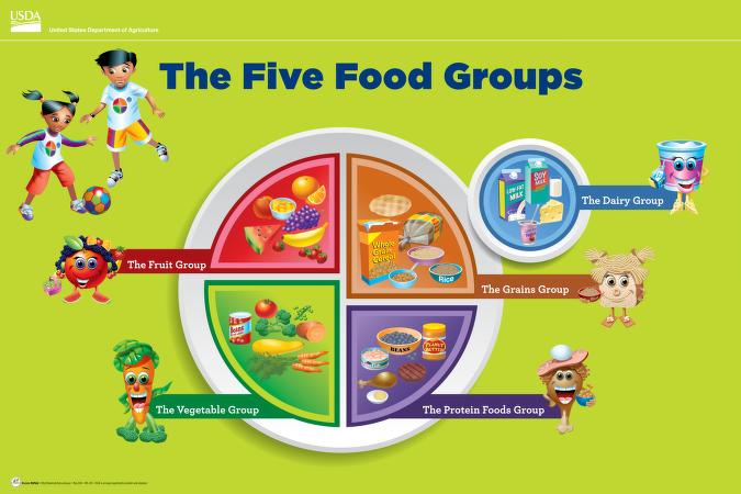 5 food groups