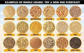 food groups: grains