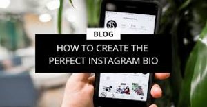 How to Create the Perfect Instagram Bio: