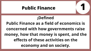 public finance banking