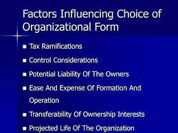 Factors Affecting the Choice of Organization: