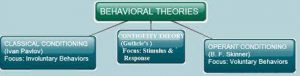Behavioral Theories