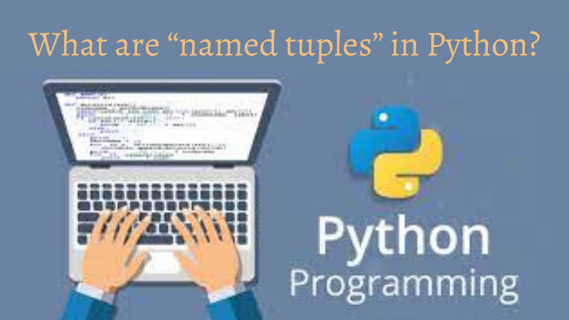 Python Named Tuple example
