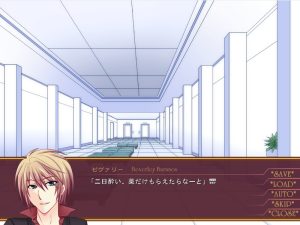 What is a Visual Novel Database? (VNDB)