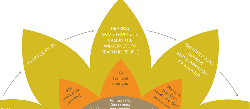 bible infographics