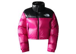 the north face jacket 