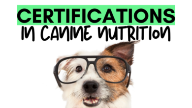 canine nutritionist certification