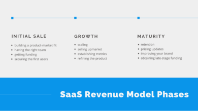 What is the SAAS Revenue Model?