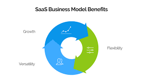 What is the SAAS Model?