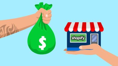 flipping shopify stores