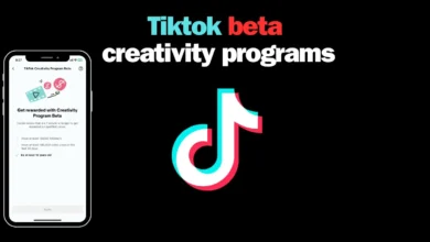 TikTok Creativity Program Beta