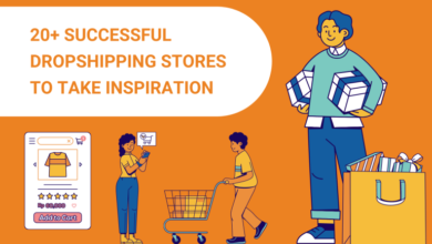 successful dropshipping stores