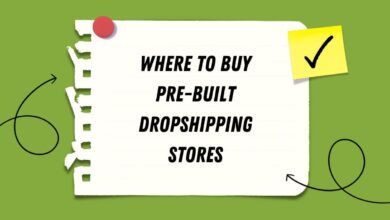 Prebuilt Shopify Stores for Sale